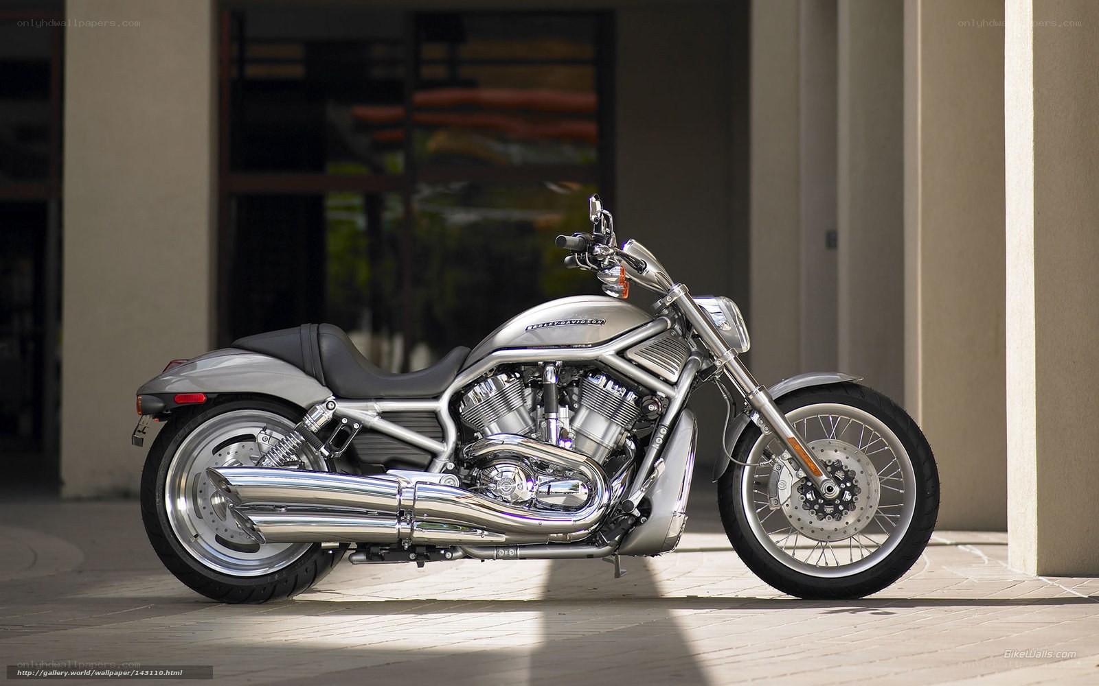 silver harley-davidson motorcycle