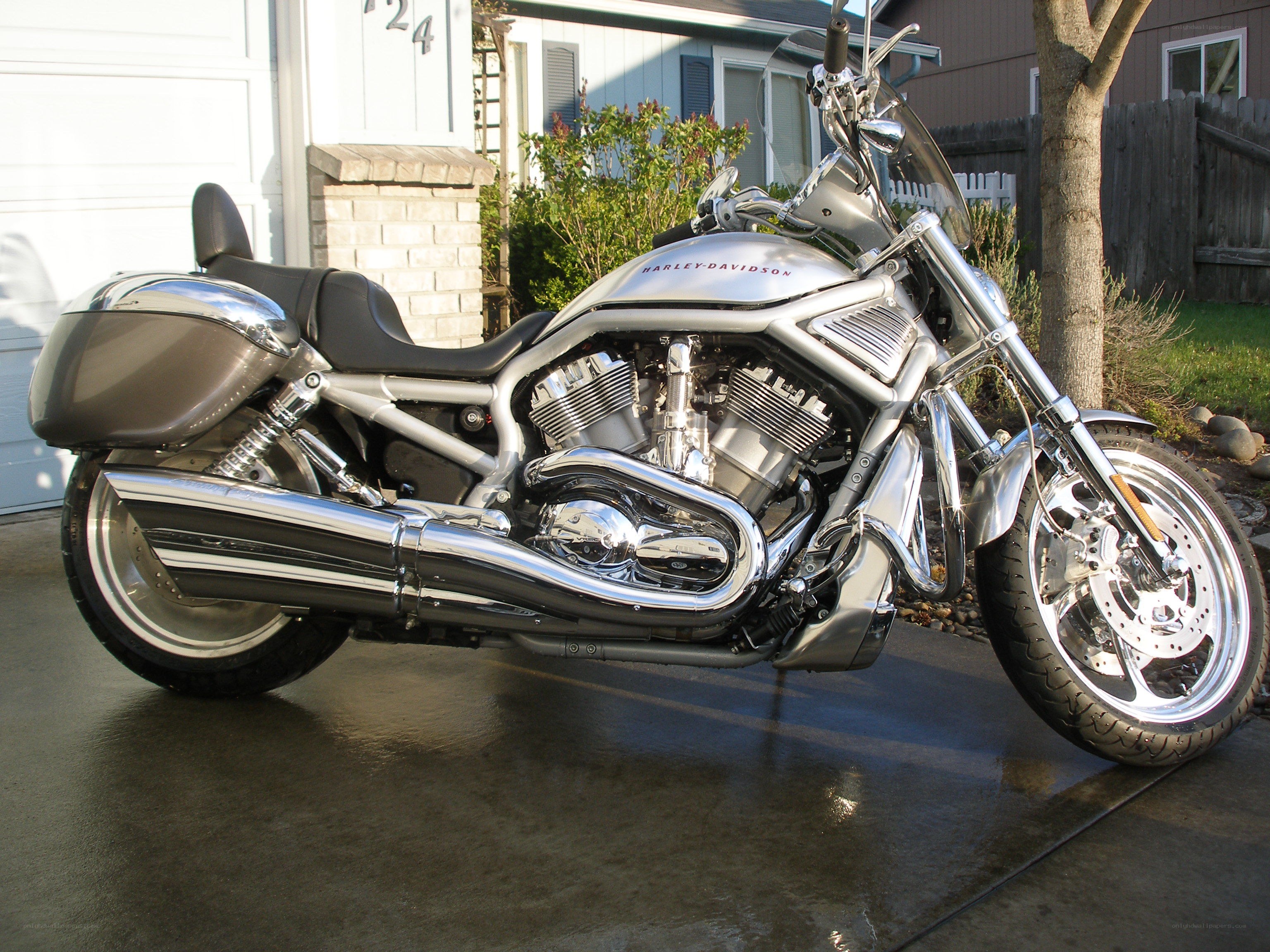 Silver Harley-Davidson motorcycle