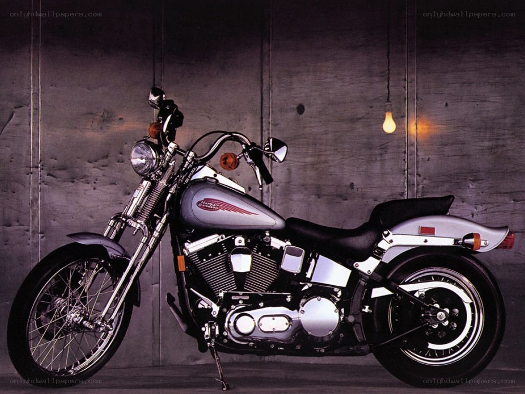 Silver Harley-Davidson motorcycle