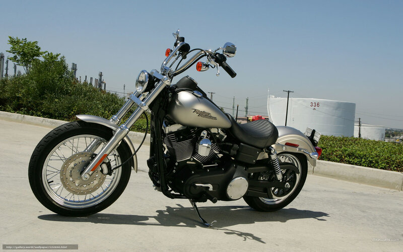 Silver Harley-davidson Motorcycle — Calm, Afternoon, Photograph, Fuel Tank