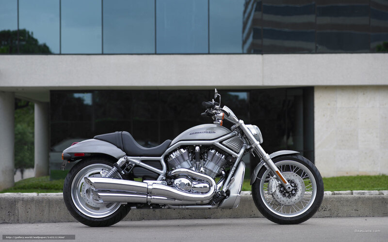 Silver Harley-davidson Motorcycle — Calm, Afternoon, Photograph