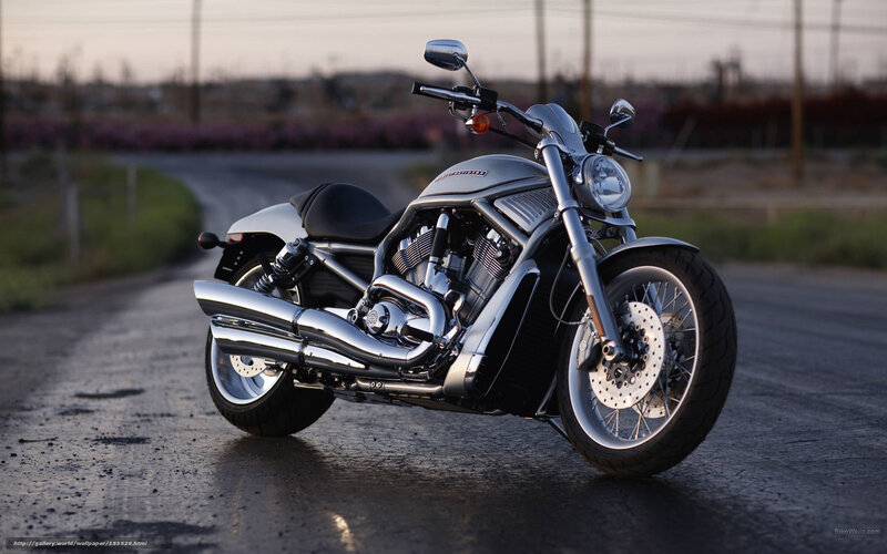 Silver Harley-davidson Motorcycle — Calm, Sunset, Photograph