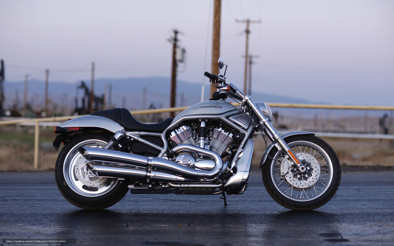 Silver Harley-davidson Motorcycle — Calm, Sunset