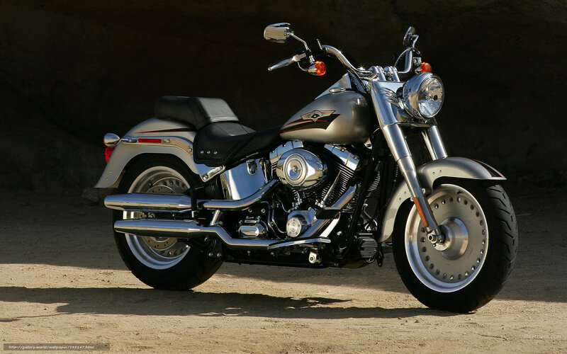 Silver Harley-davidson Motorcycle — Dramatic, Afternoon, Photograph, Seat