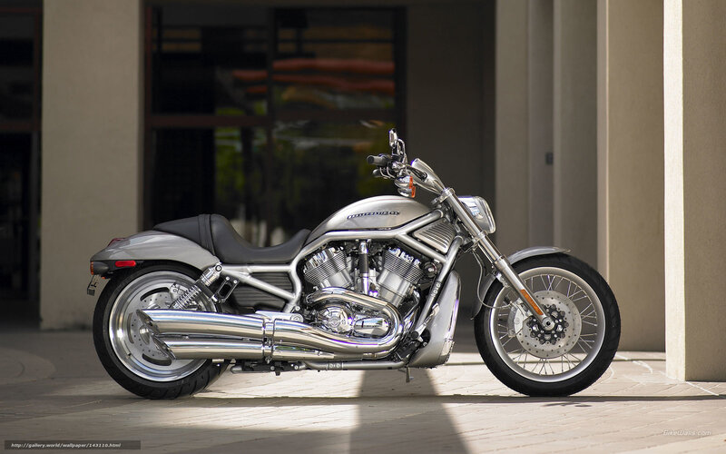 Silver Harley-davidson Motorcycle — Dramatic, Afternoon, Photograph