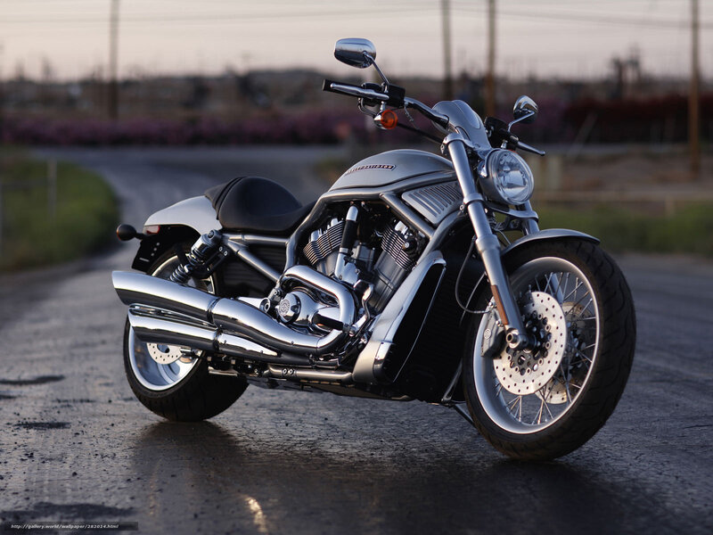 Silver Harley-davidson Motorcycle — Dramatic, Sunset