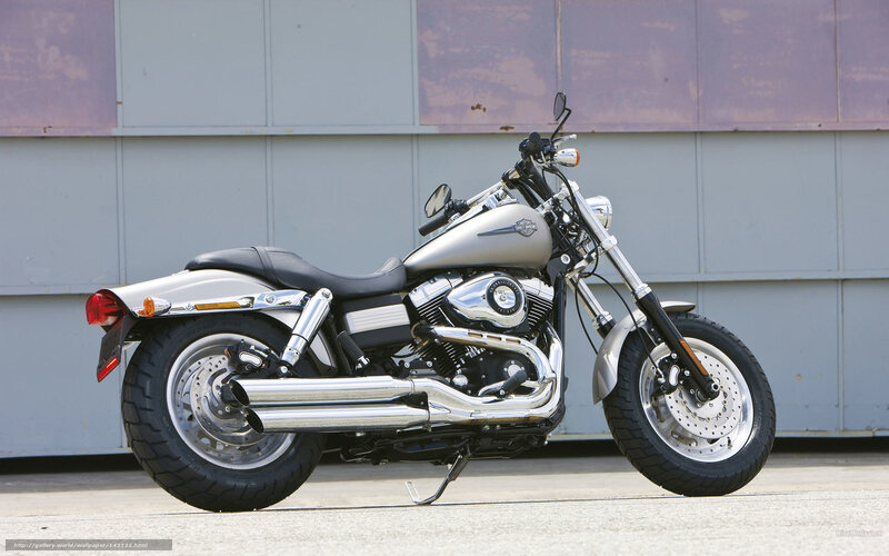 Silver Harley-davidson Motorcycle — Neutral, Afternoon, Photograph, Building