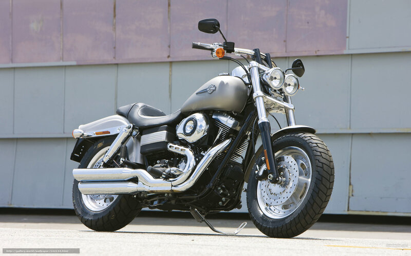 Silver Harley-davidson Motorcycle — Neutral, Afternoon, Photograph