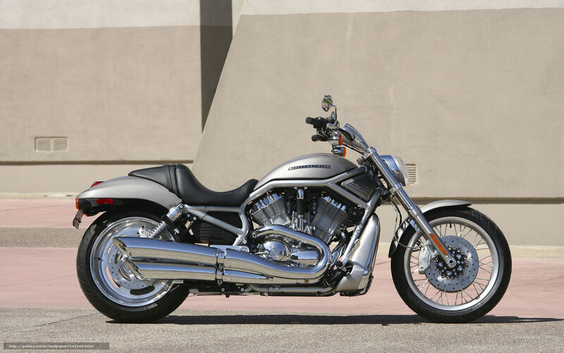 Silver Harley-davidson Motorcycle — Neutral, Afternoon