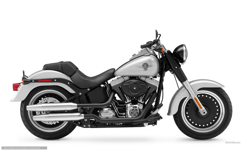 Silver Harley-davidson Motorcycle — Neutral, Photograph, Black Seat