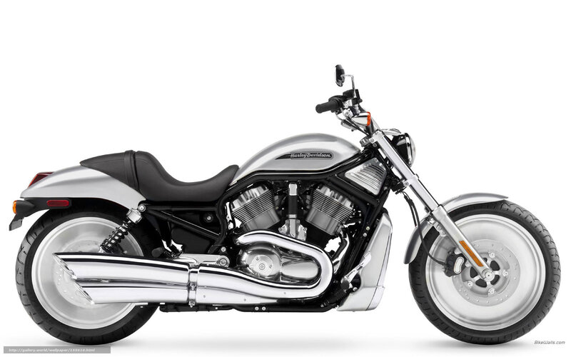 Silver Harley-davidson Motorcycle — Neutral, Photograph, Seat, Exhaust, Engine