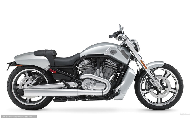 Silver Harley-davidson Motorcycle — Neutral, Photograph, Seat