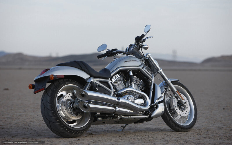 Silver Harley-davidson Motorcycle — Serene, Afternoon