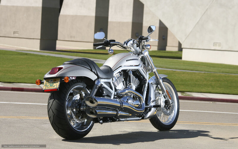 Silver Harley-Davidson motorcycle