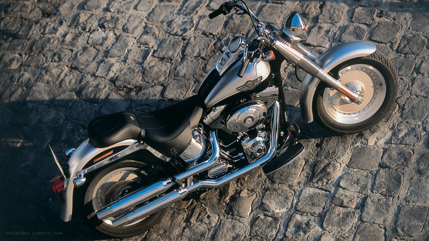 Silver Harley-Davidson on cobblestones