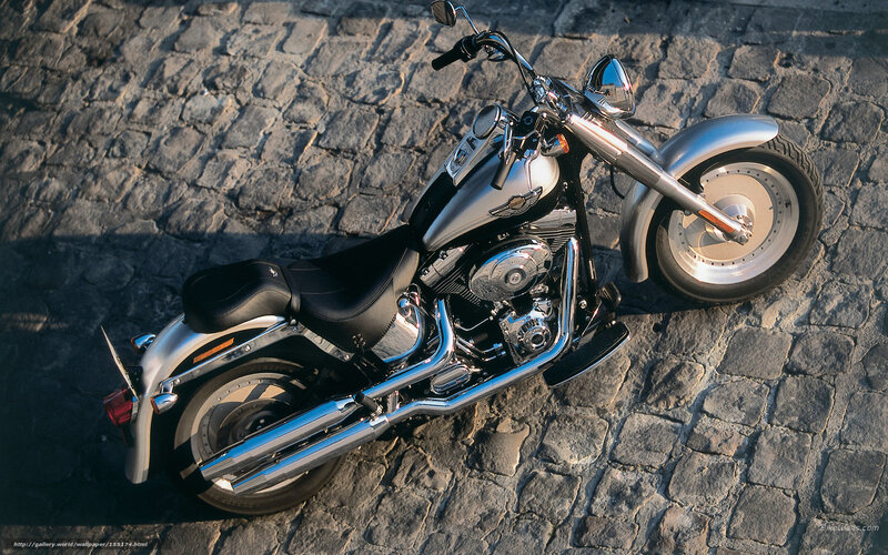 Silver Harley-Davidson on cobblestones