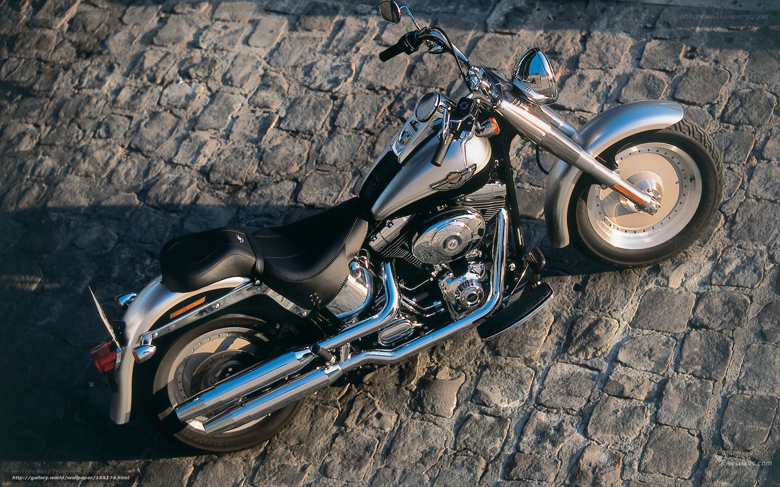 Silver Harley-Davidson on cobblestones