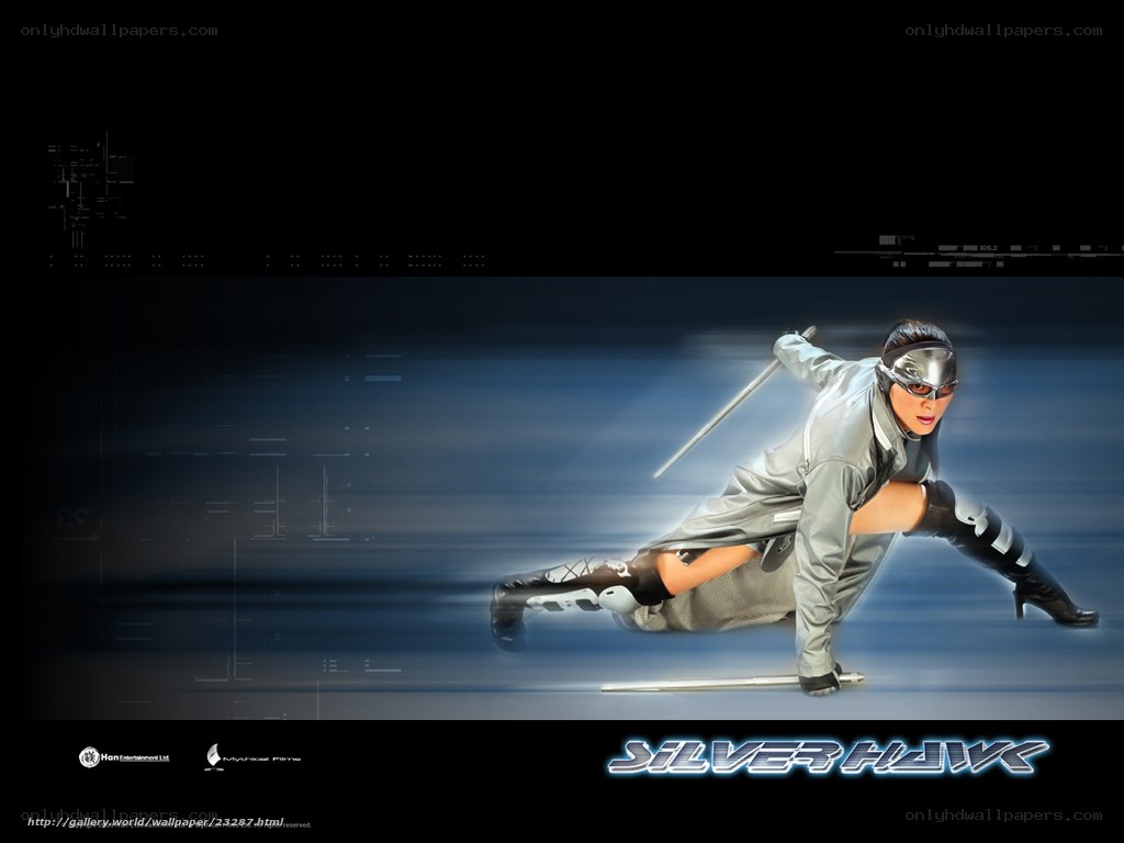 Silver Hawk action scene
