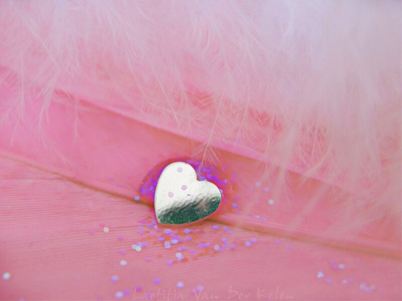 Silver Heart on Pink Feather