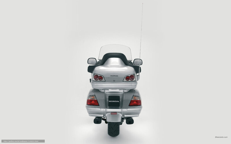 silver honda motorcycle rear view