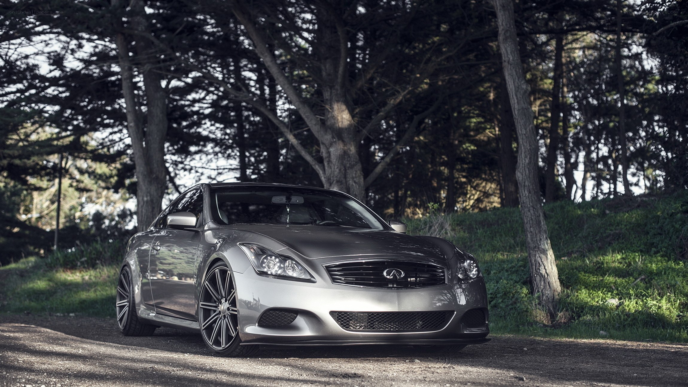 silver infini car in forest