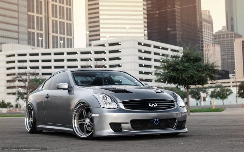 Silver Infiniti G35 Coupe — Gray