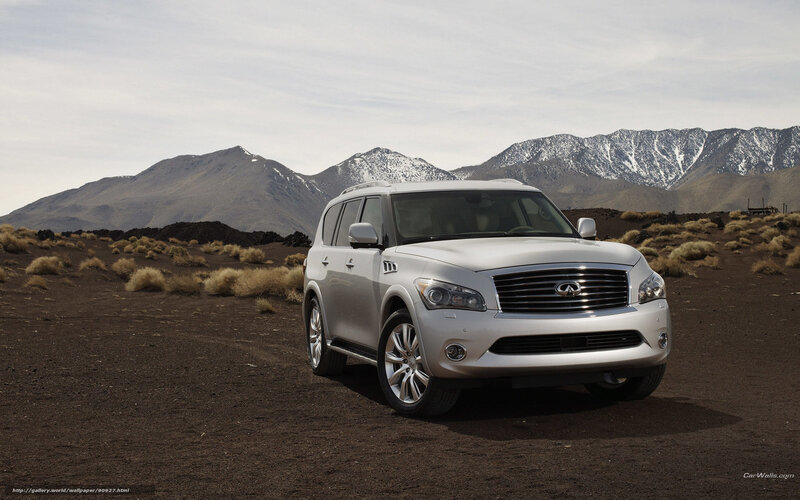 Silver Infiniti Qx80