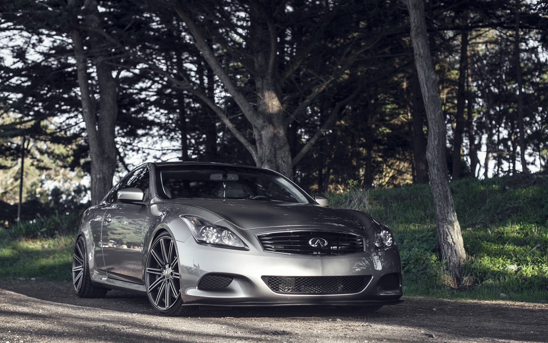 silver infinix car in forest