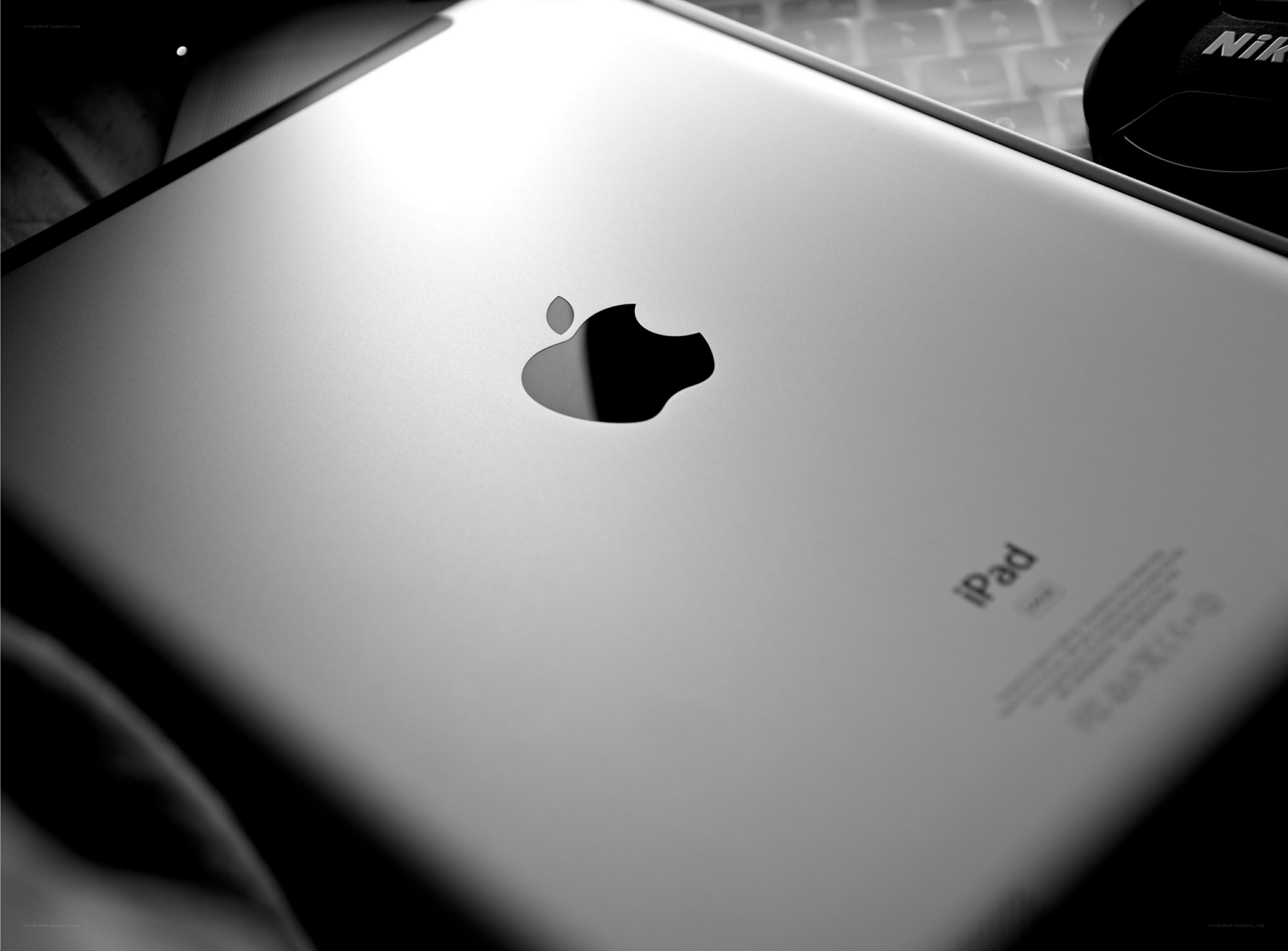 Silver iPad back with Apple logo