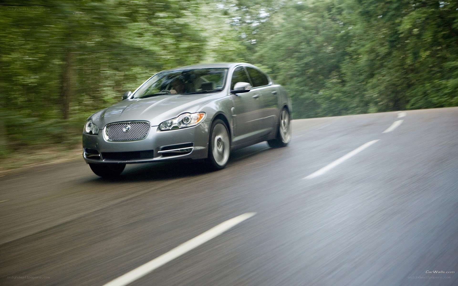 silver jaguar driving on road