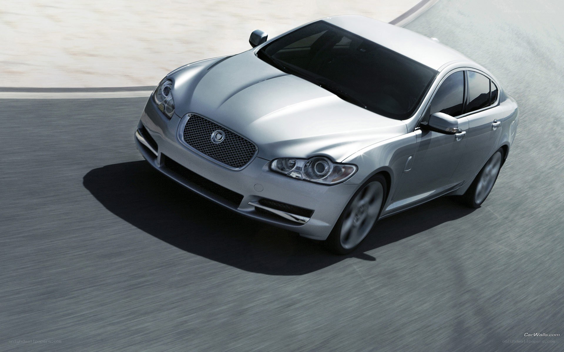 silver jaguar in motion