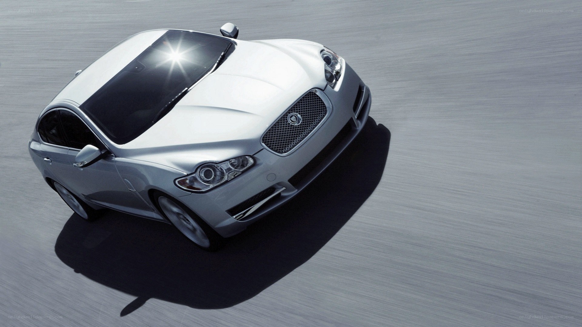 silver jaguar in motion
