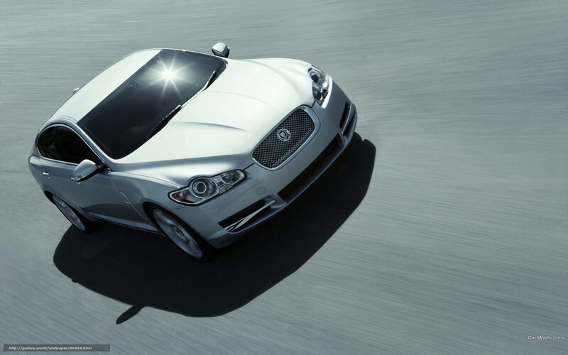 Silver Jaguar Sedan — Dynamic