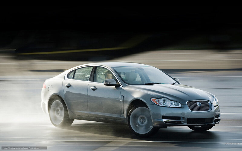 Silver Jaguar Sedan — Gray, Dynamic