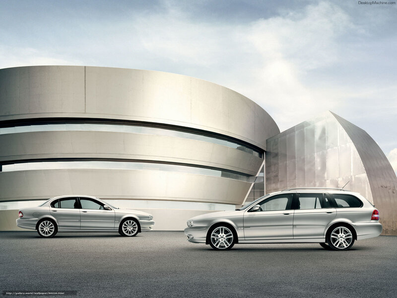 Silver Jaguars in Modern Architecture