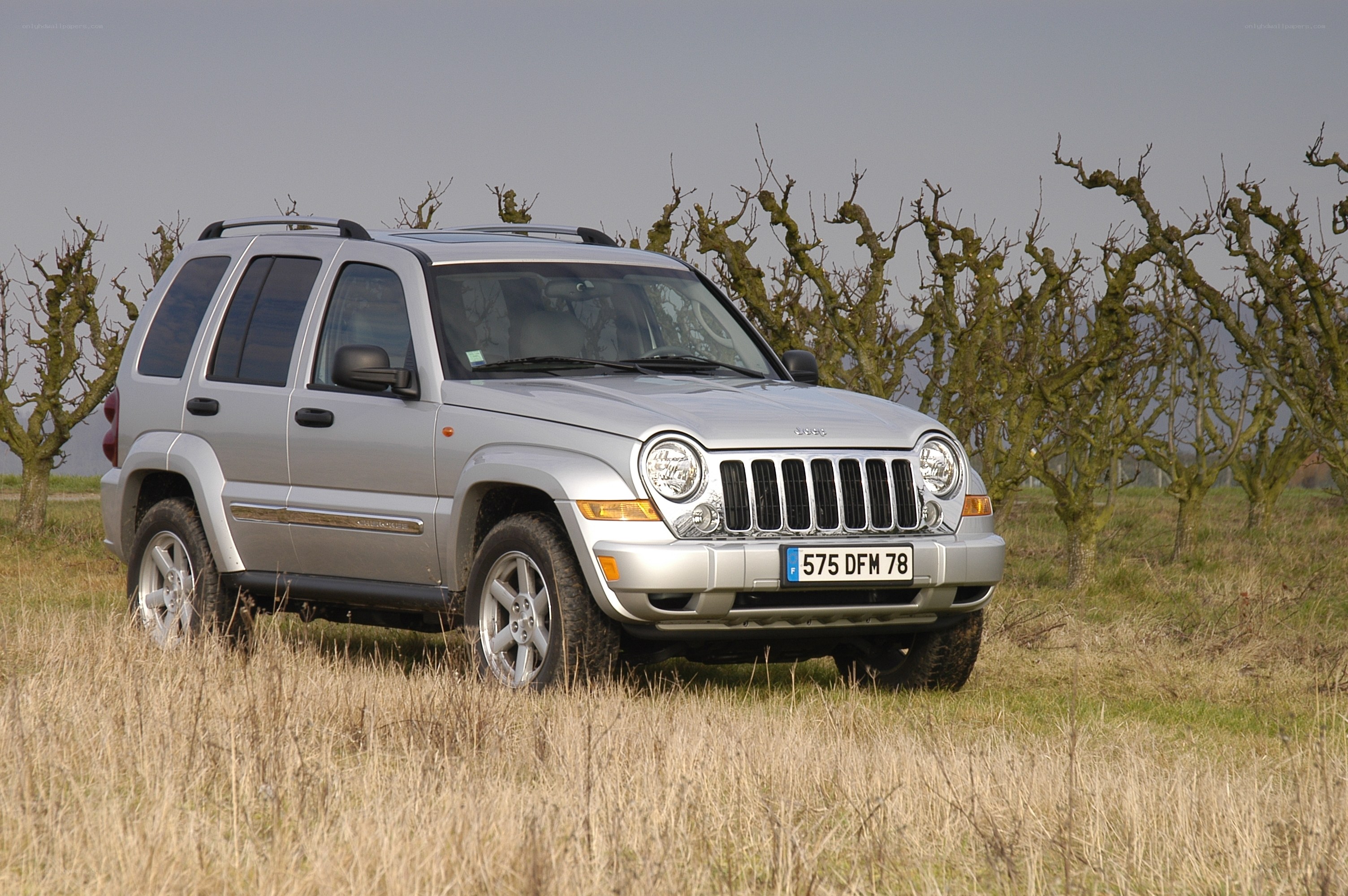 Silver Jeep in a field