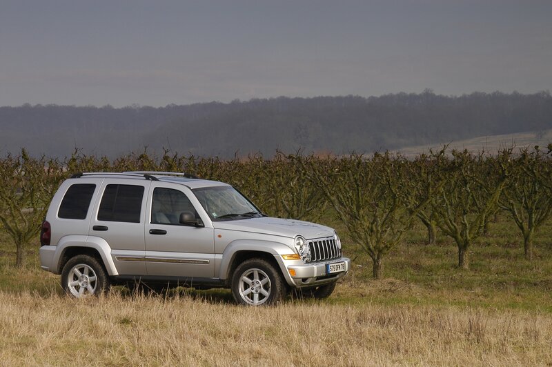 Silver Jeep in a field