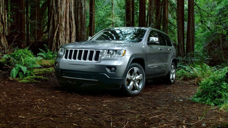 Silver Jeep in Forest — Gray