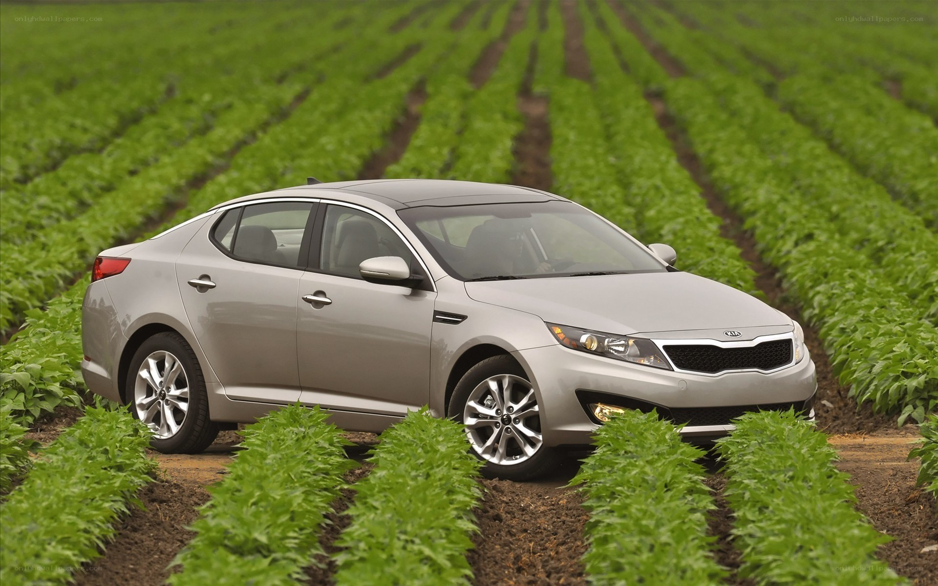 silver kia optima in a field