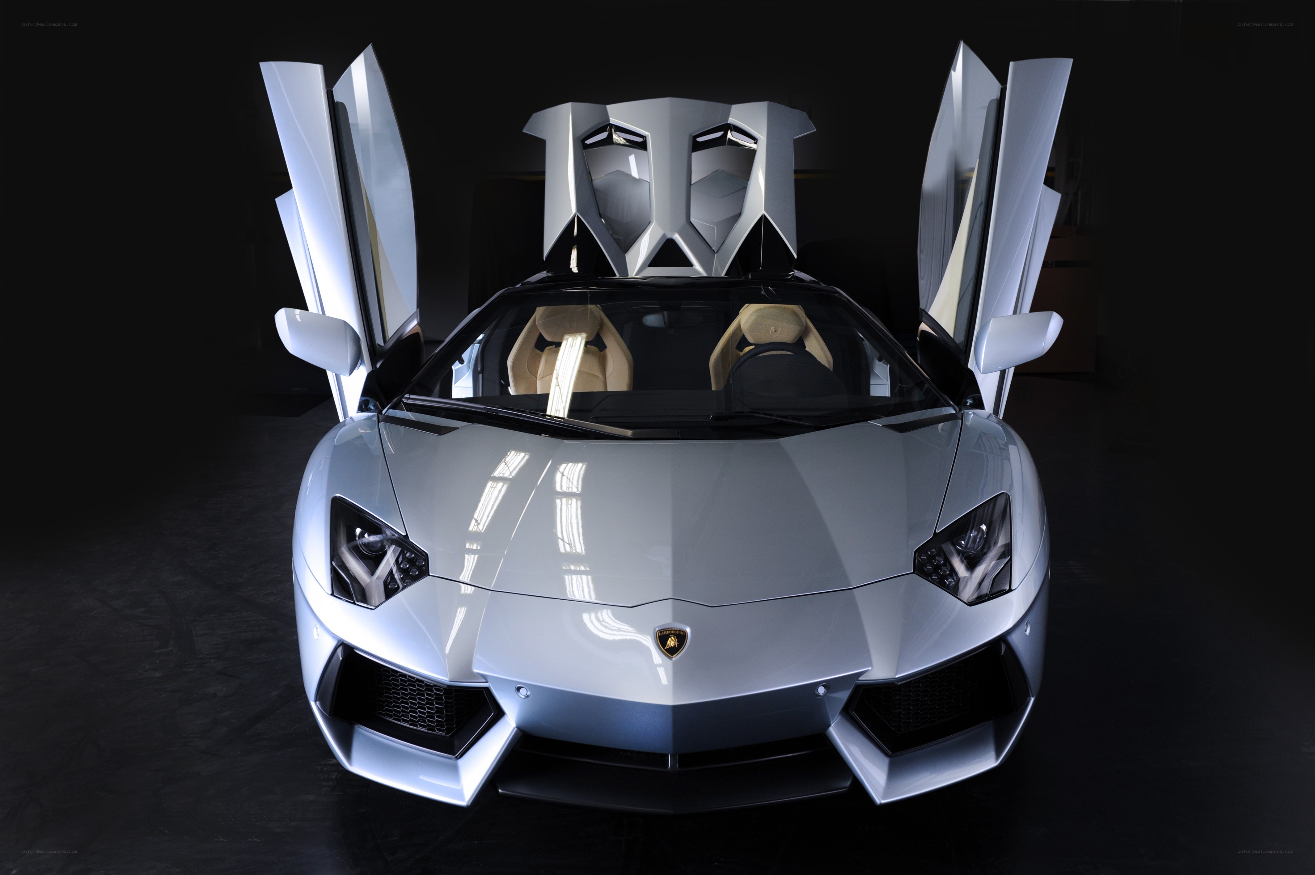 Silver Lamborghini Aventador