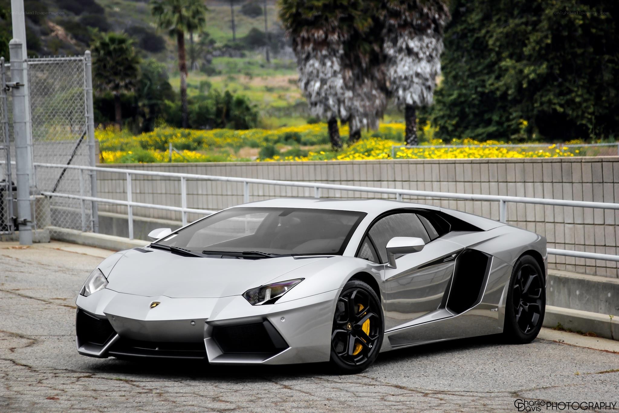 Silver Lamborghini Aventador