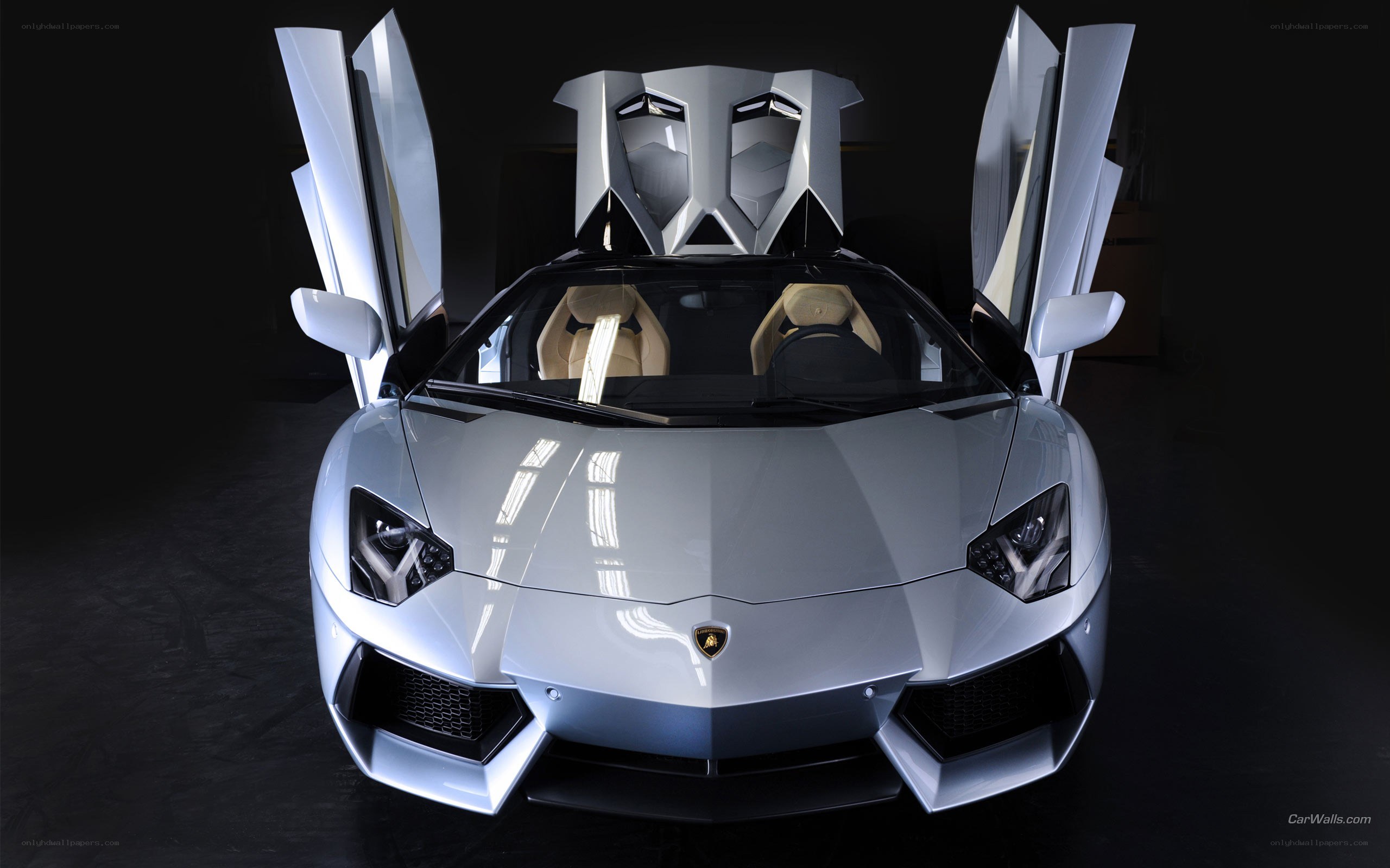 Silver Lamborghini Aventador