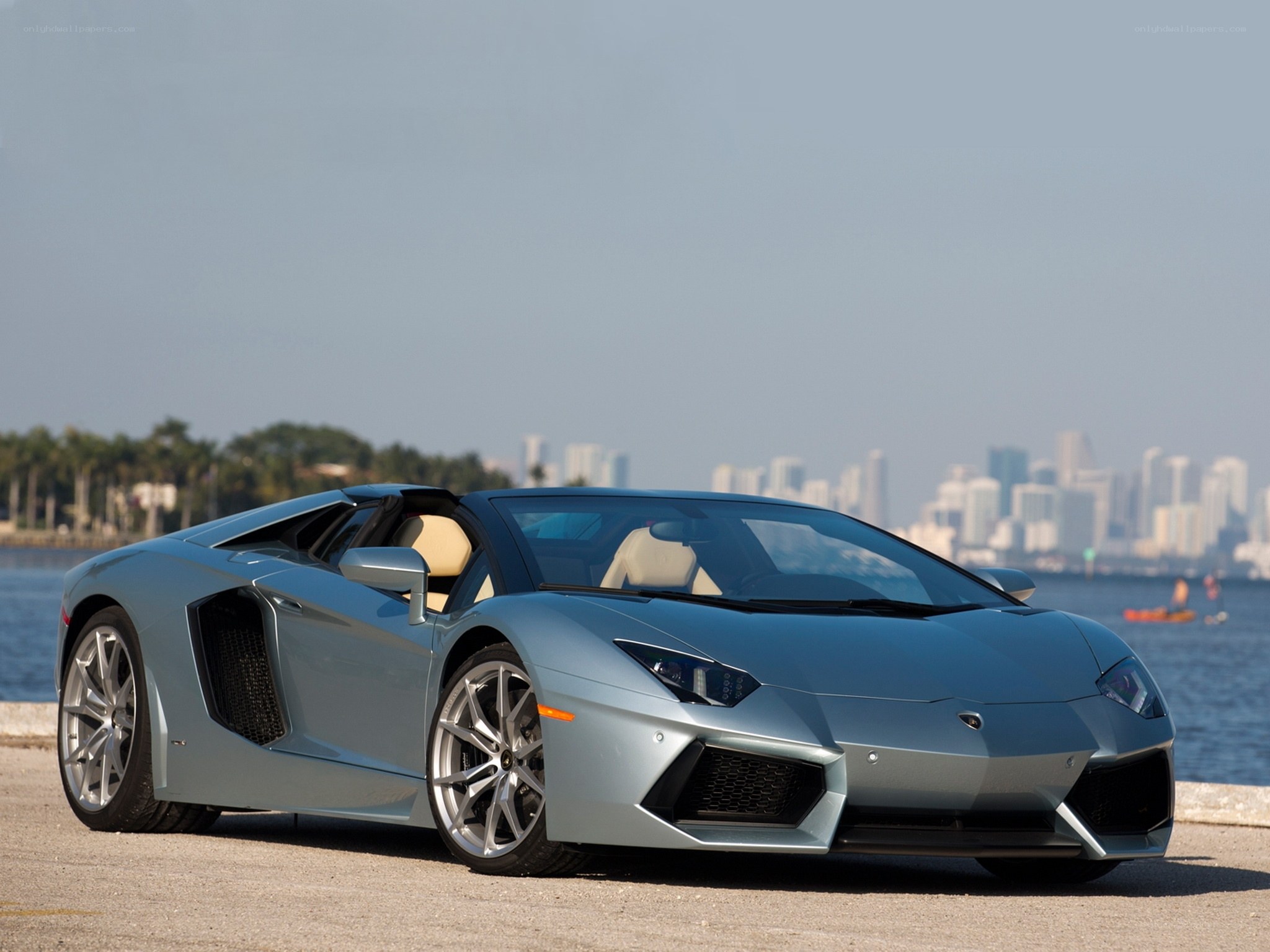 Silver Lamborghini Aventador