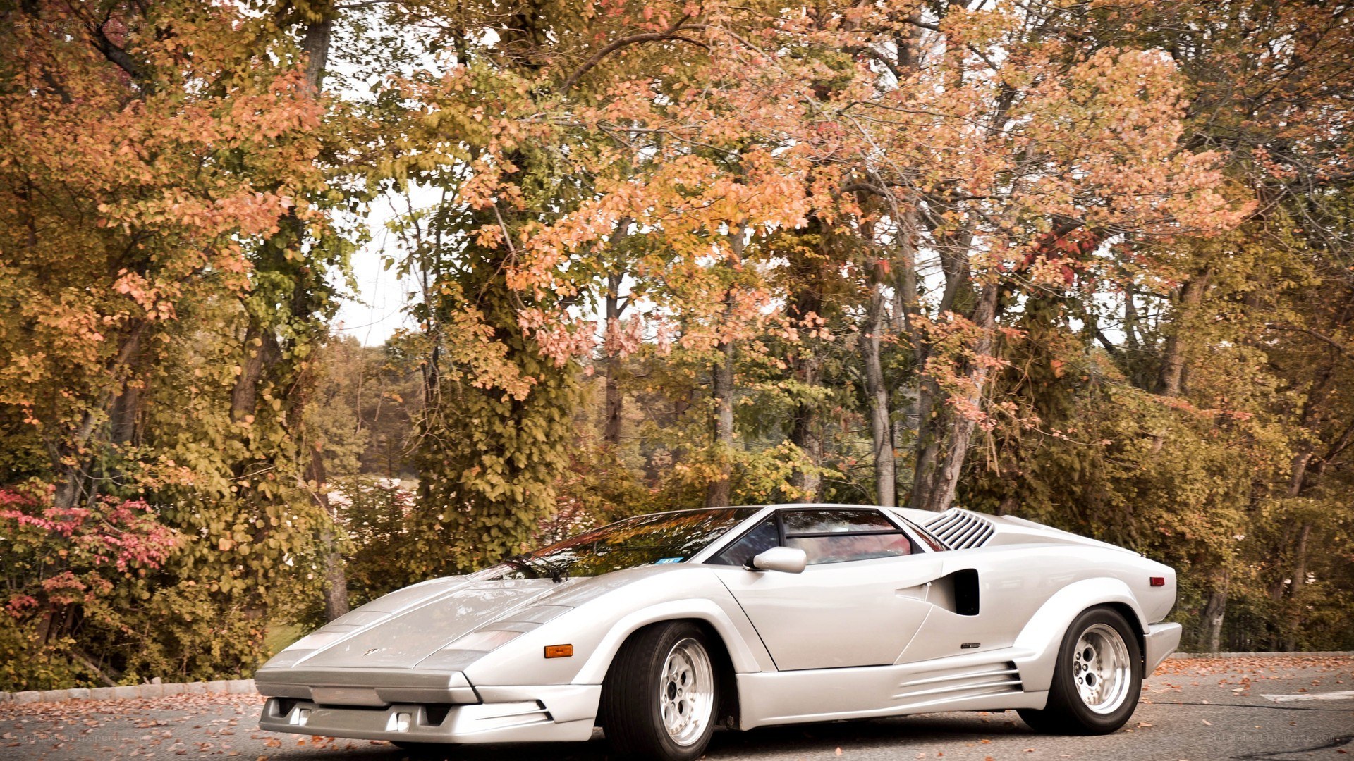Silver Lamborghini Countach in autumn