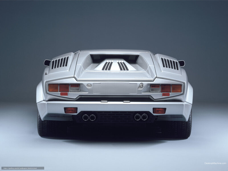 Silver Lamborghini Countach rear view