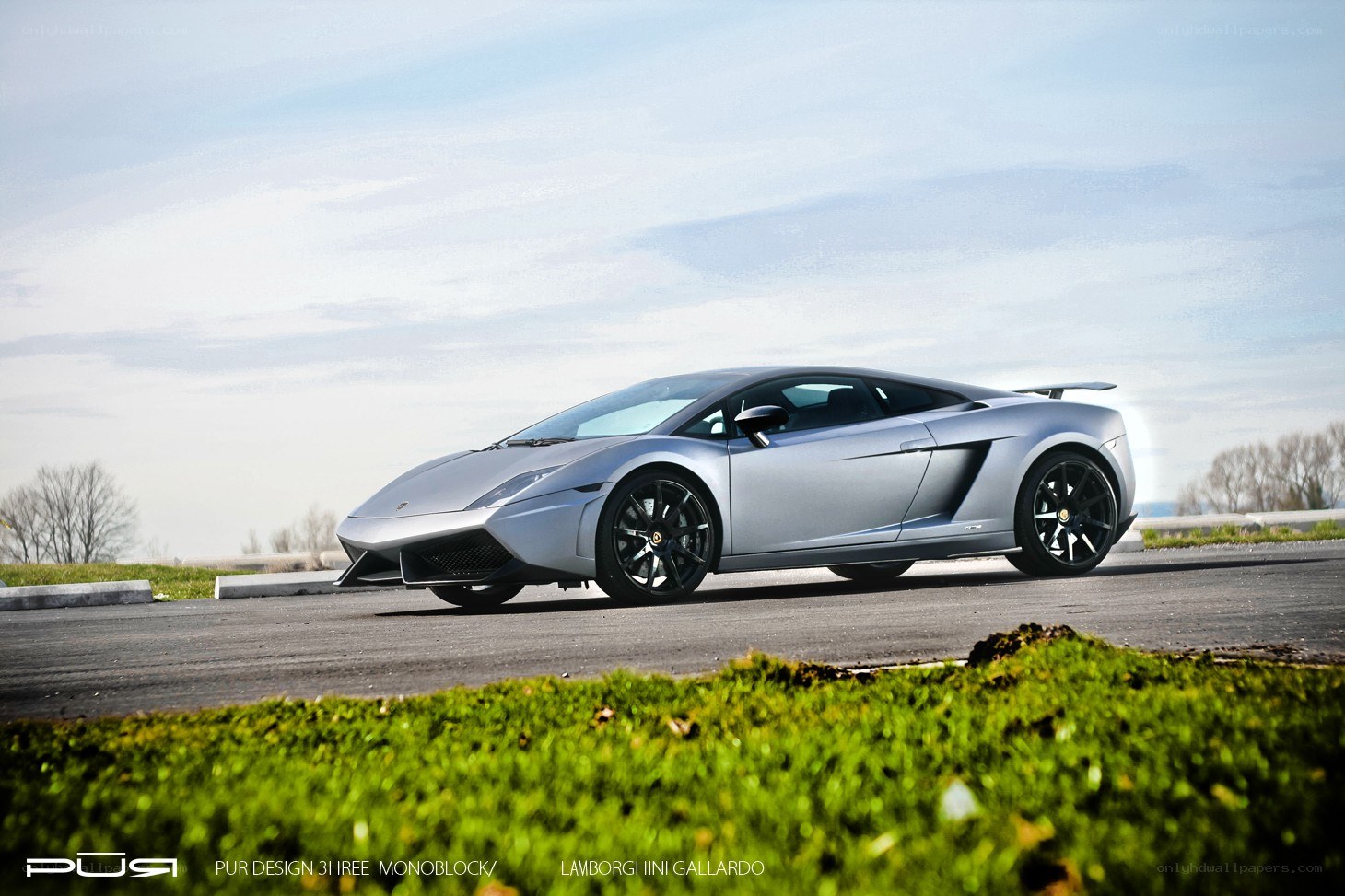 Silver Lamborghini Gallardo on track