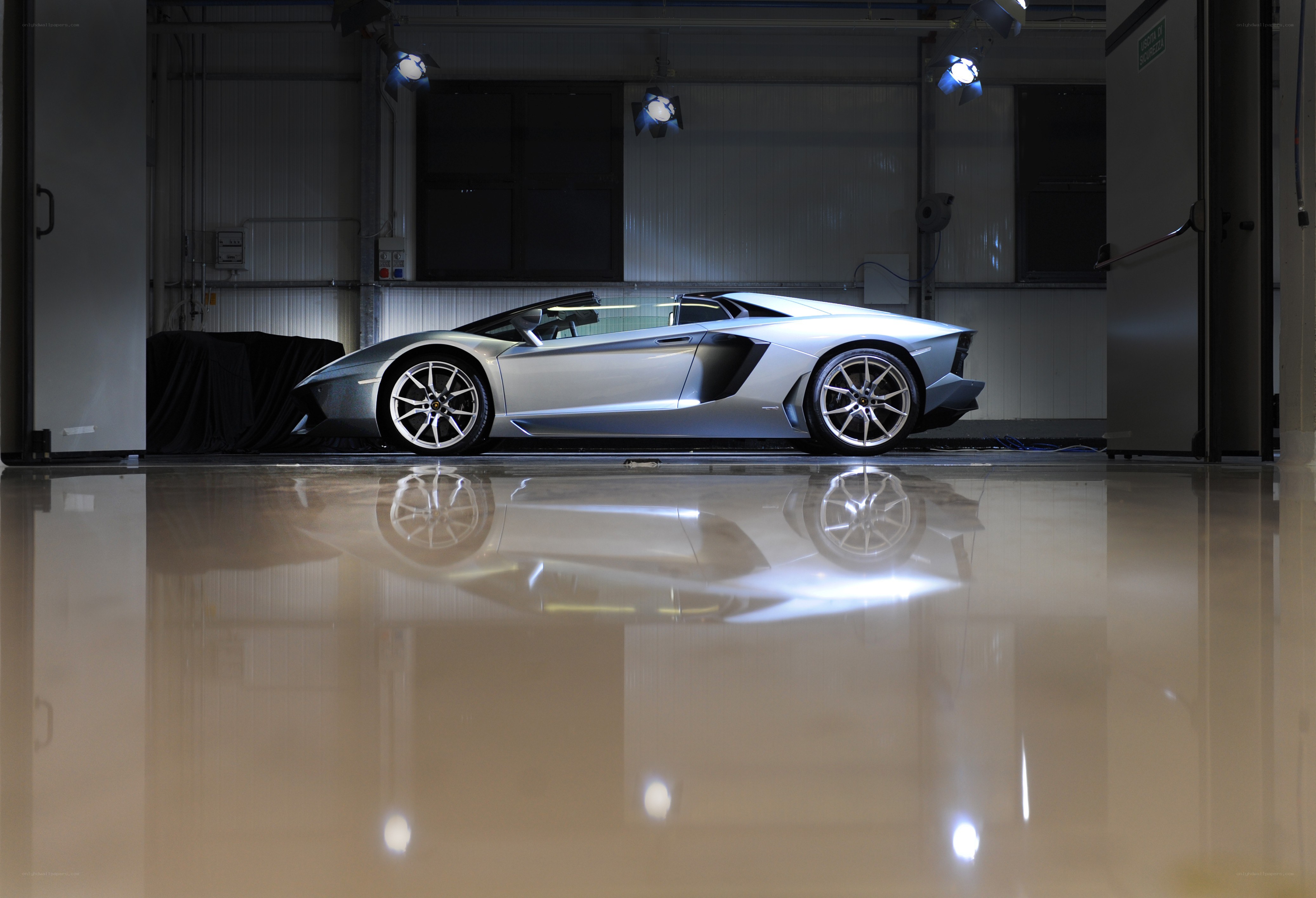 Silver Lamborghini in a showroom