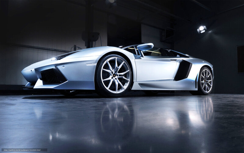 Silver Lamborghini in garage