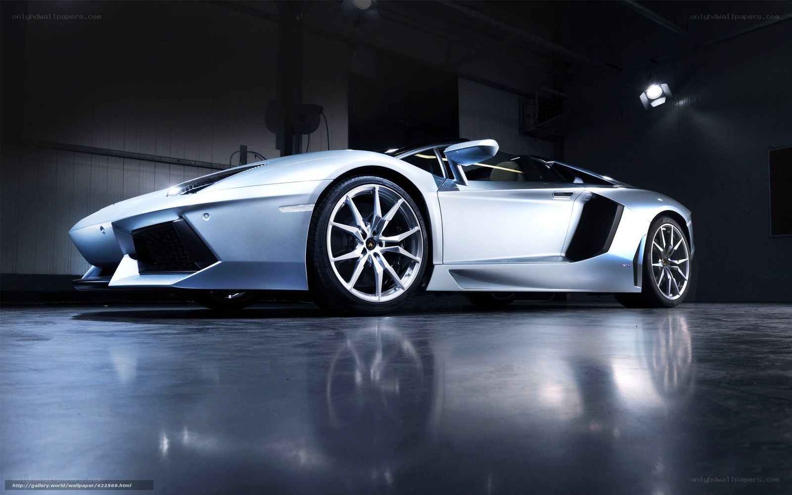 Silver Lamborghini in garage