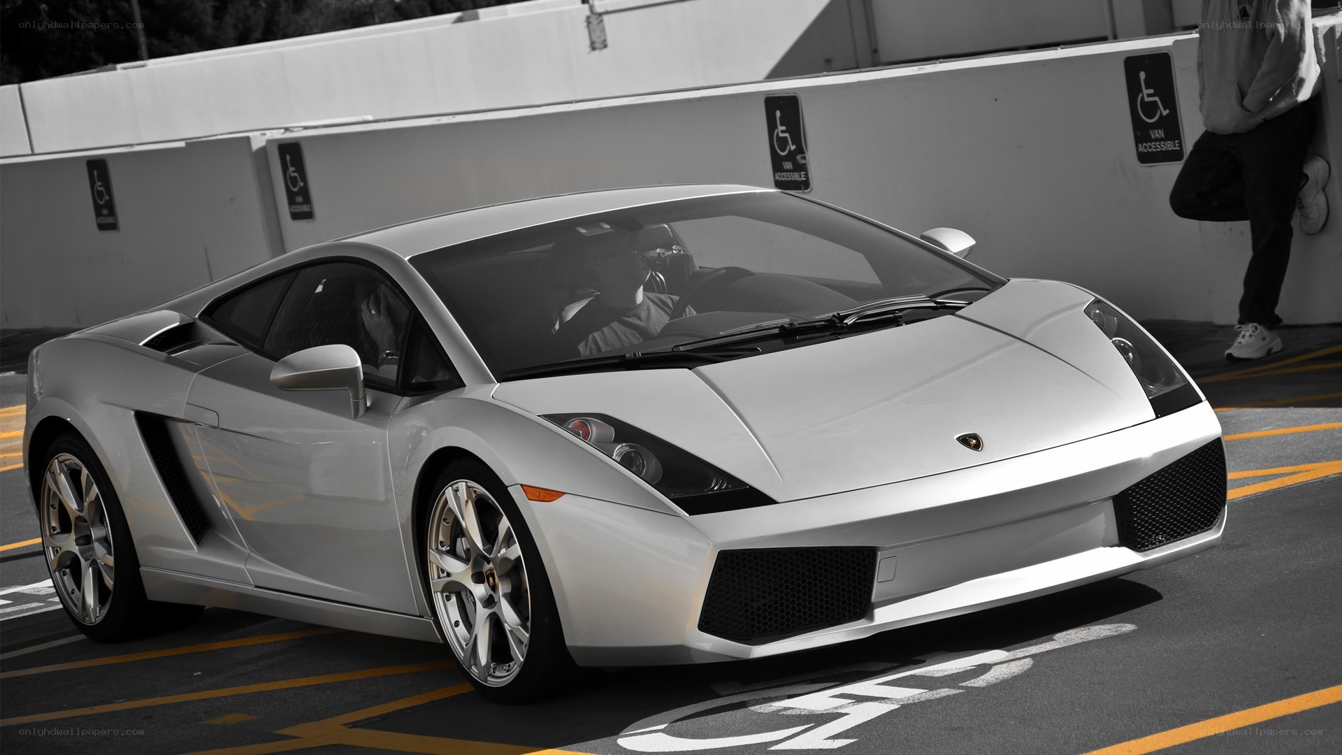 Silver Lamborghini in parking lot